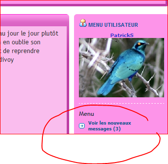 Nouveaux message.PNG